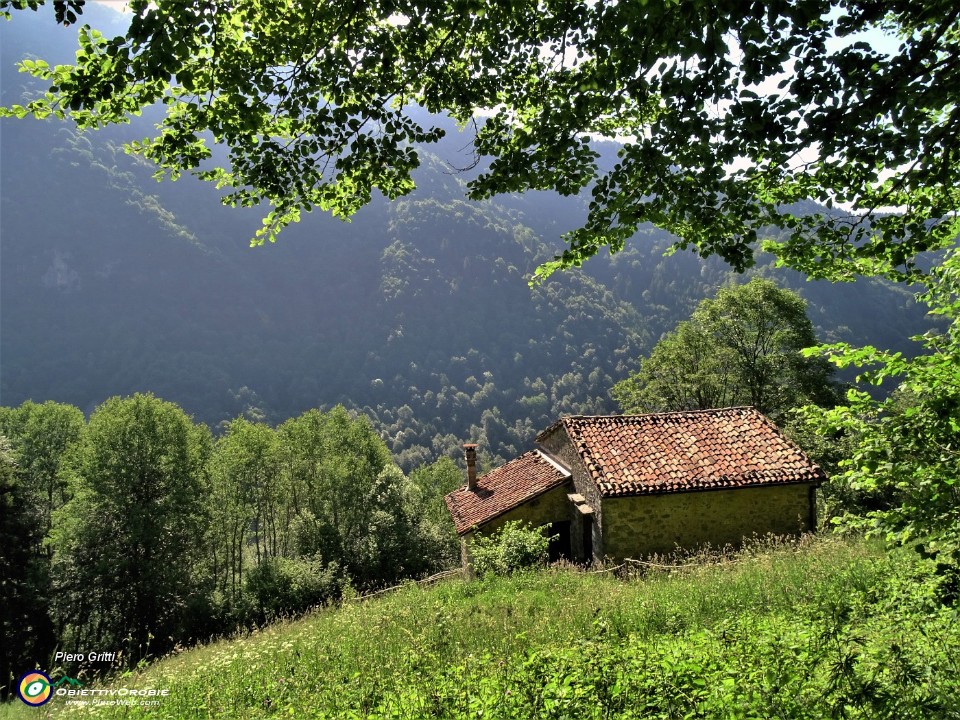 11 Passaggio a stalletta nel prato.JPG